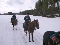 Horse riding in snow