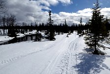 Umnas area dog sledding