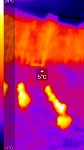 Dogs resting on snow thermal image