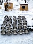 Dog bowls ready for feeding