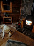 Dog beside fireplace