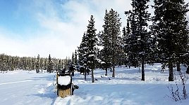 Little bay next to Parte cabin