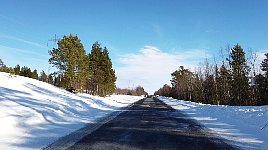 Natural road block in Sweden