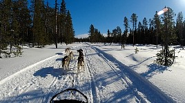Along a wide snowmobile track