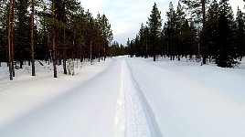 Side trail to Juksaure