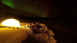 Aurora Borealis with tents and dogs