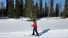 Constanze skiing