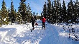 Cross country skiing near Umnaes