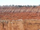 Bryce Canyon - shades of red