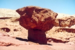Rock mushroom at Timna Park