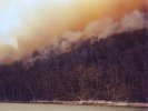 Port Arthur bushfire