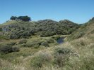 Hills near beach