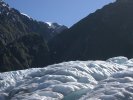 Fox Glacier