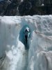 Fox Glacier