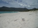 Wineglass Bay, Freycinet National Park