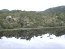 Gordon River boat tour