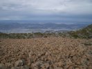 Rocks, trees and Hobart