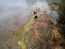 Volcanic activity, Rotorua