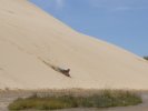 Sandboarding on a dune