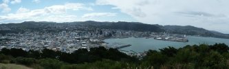 Wellington panorama