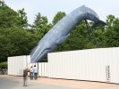 Life size whale statue in Ueno park