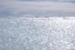Blue ice runway, close up