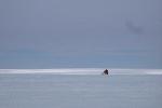 Snowmobile in Antarctica