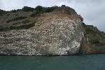 Cormorant colony near Puerto Natales