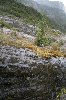 Water drip near Serrano glacier, Chile