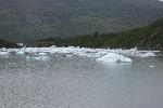 Zodiac tour at Serrano glacier, Chile