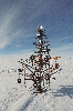Christmas tree, South Pole style