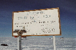 Little Penguin at the Geographic South Pole