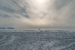 Twin Otter on runway