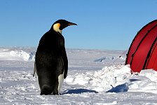 Another nice day in Antarctica