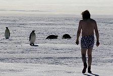 Emperor penguin boxer shorts and Emperor Penguins