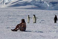 Emperor penguin boxer shorts and Emperor Penguins