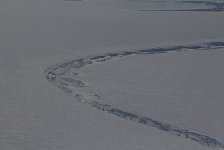 Antarctic scenery from plane