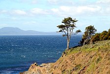 Coast near Fuerte Bulnes