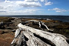 Coast near Fuerte Bulnes