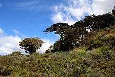 Coast near Fuerte Bulnes