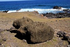 Toppled moai