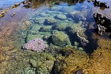 Sea water pool