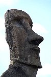 Easter Island Moai, standing