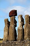 Easter Island Moai, standing