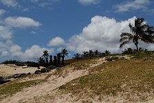 Easter Island moais near beach