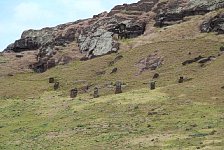 Moai selection at Easter Island quarry