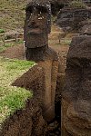 Moai half dug out