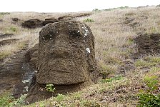 Moai at Easter Island quarry