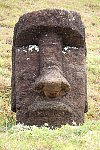 Moai at Easter Island quarry