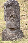 Moai at Easter Island quarry